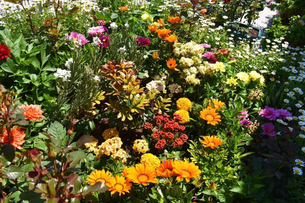 Hotel Garden Terrace Old Istanbul Bagian luar foto
